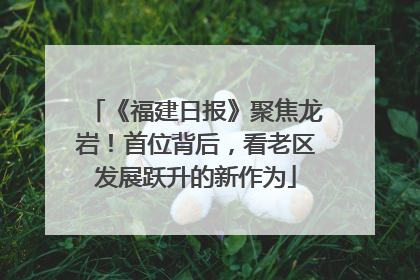 《福建日报》聚焦龙岩！首位背后，看老区发展跃升的新作为