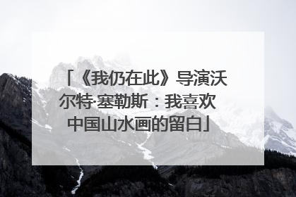 《我仍在此》导演沃尔特·塞勒斯：我喜欢中国山水画的留白