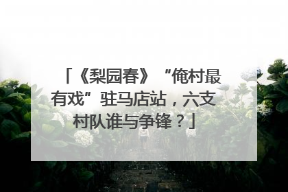 《梨园春》“俺村最有戏”驻马店站，六支村队谁与争锋？