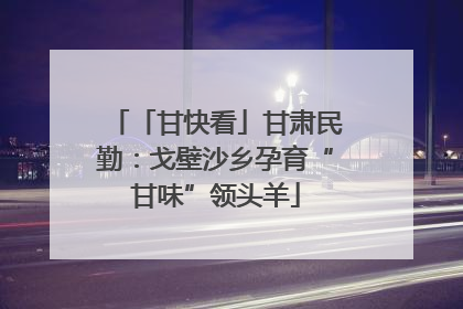 「甘快看」甘肃民勤：戈壁沙乡孕育“甘味”领头羊