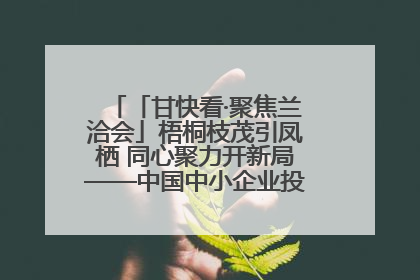 「甘快看·聚焦兰洽会」梧桐枝茂引凤栖 同心聚力开新局——中国中小企业投资洽谈会侧记