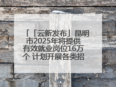 「云新发布」昆明市2025年将提供有效就业岗位16万个 计划开展各类招聘会200余场次