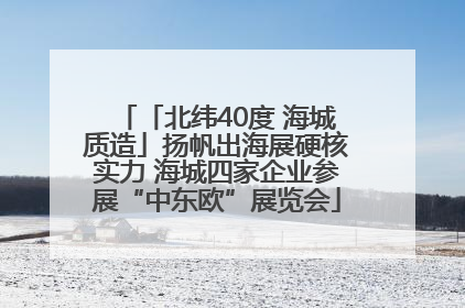 「北纬40度 海城质造」扬帆出海展硬核实力 海城四家企业参展“中东欧”展览会