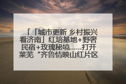 「城市更新 乡村振兴看济南」红培基地+野奢民宿+玫瑰秘境……打开莱芜“齐鲁情映山红片区”的破圈秘籍