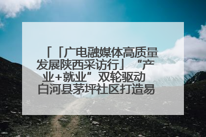 「广电融媒体高质量发展陕西采访行」“产业+就业”双轮驱动 白河县茅坪社区打造易地搬迁后扶新样本