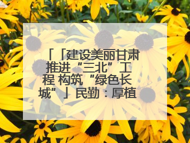 「建设美丽甘肃 推进“三北”工程 构筑“绿色长城”」民勤：厚植生态底色 筑牢绿色屏障