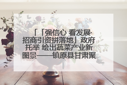 「强信心 看发展·招商引资拼落地」政府托举 绘出蔬菜产业新图景——镇原县甘肃聚广利现代设施蔬菜种植基地见闻