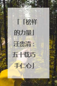 「榜样的力量」汪贵清：五十载巧手仁心