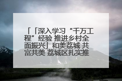 「深入学习“千万工程”经验 推进乡村全面振兴」和美荔城 共富共美 荔城区扎实推进乡村振兴工作