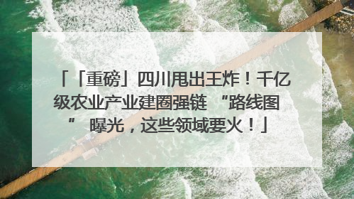 「重磅」四川甩出王炸！千亿级农业产业建圈强链 “路线图” 曝光，这些领域要火！