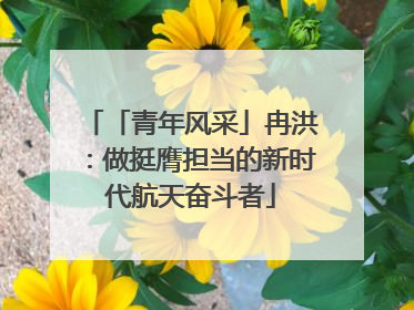 「青年风采」冉洪：做挺膺担当的新时代航天奋斗者