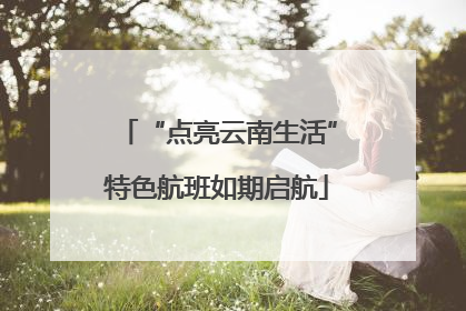 “点亮云南生活”特色航班如期启航