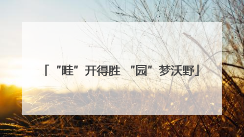 “畦”开得胜 “园”梦沃野