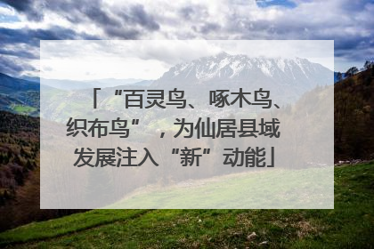 “百灵鸟、啄木鸟、织布鸟”，为仙居县域发展注入“新”动能