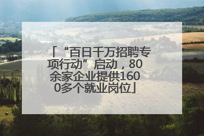 “百日千万招聘专项行动”启动，80余家企业提供1600多个就业岗位