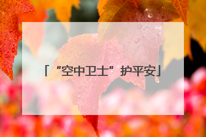 “空中卫士”护平安