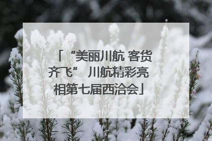 “美丽川航 客货齐飞” 川航精彩亮相第七届西洽会
