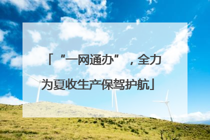 “一网通办”，全力为夏收生产保驾护航