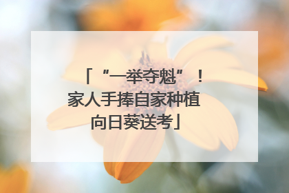 “一举夺魁”！家人手捧自家种植向日葵送考