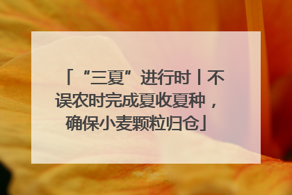 “三夏”进行时丨不误农时完成夏收夏种，确保小麦颗粒归仓