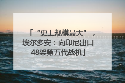 “史上规模最大”，埃尔多安：向印尼出口48架第五代战机