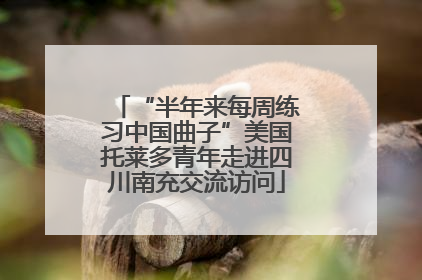 “半年来每周练习中国曲子”美国托莱多青年走进四川南充交流访问