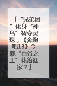 “兄弟团”化身“神鸟”智夺灵珠，《奔跑吧13》今晚“百谷之王”花落谁家？