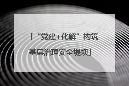 “党建+化解”构筑基层治理安全堤坝