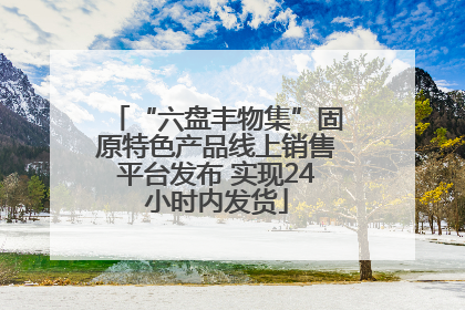 “六盘丰物集”固原特色产品线上销售平台发布 实现24小时内发货