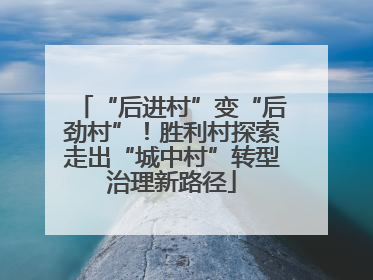 “后进村”变“后劲村”！胜利村探索走出“城中村”转型治理新路径