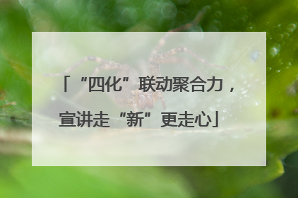 “四化”联动聚合力，宣讲走“新”更走心