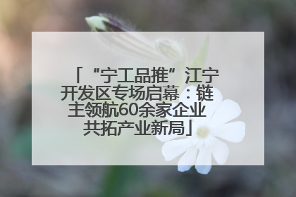 “宁工品推”江宁开发区专场启幕：链主领航60余家企业共拓产业新局