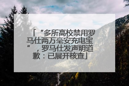 “多所高校禁用罗马仕两万毫安充电宝”，罗马仕发声明道歉：已展开核查