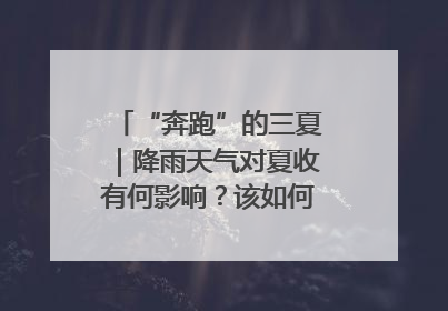 “奔跑”的三夏｜降雨天气对夏收有何影响？该如何防范？一文了解