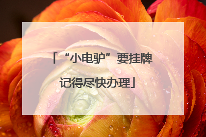 “小电驴”要挂牌 记得尽快办理