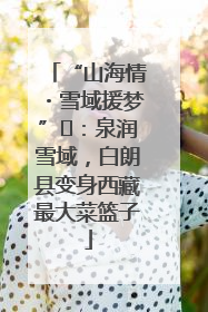 “山海情・雪域援梦”⑪：泉润雪域，白朗县变身西藏最大菜篮子