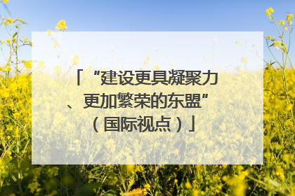 “建设更具凝聚力、更加繁荣的东盟”（国际视点）