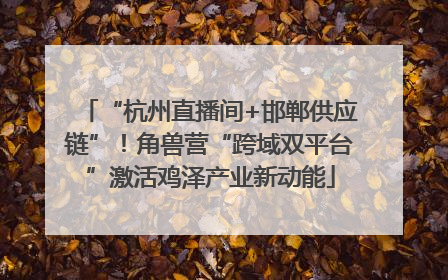 “杭州直播间+邯郸供应链”！角兽营“跨域双平台”激活鸡泽产业新动能