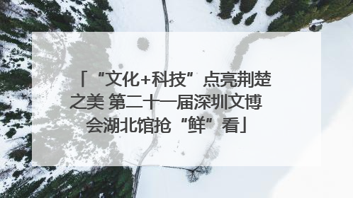 “文化+科技”点亮荆楚之美 第二十一届深圳文博会湖北馆抢“鲜”看