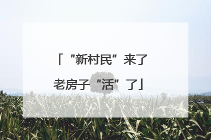“新村民”来了 老房子“活”了