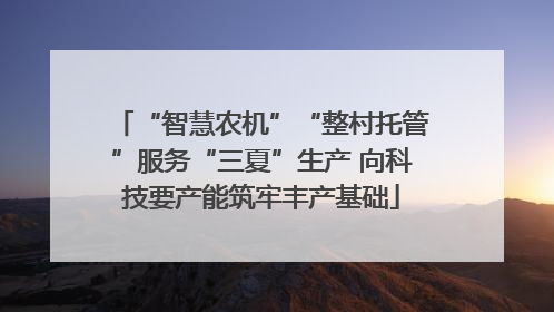 “智慧农机”“整村托管”服务“三夏”生产 向科技要产能筑牢丰产基础