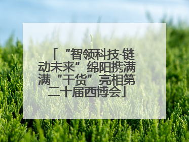 “智领科技·链动未来”绵阳携满满“干货”亮相第二十届西博会