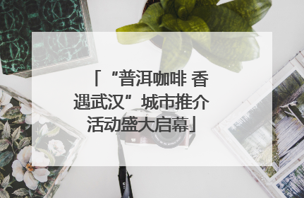 “普洱咖啡 香遇武汉”城市推介活动盛大启幕