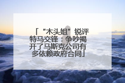 “木头姐”锐评特马交锋：争吵揭开了马斯克公司有多依赖政府合同
