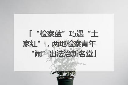 “检察蓝”巧遇“土家红”，两地检察青年“闹”出法治新名堂