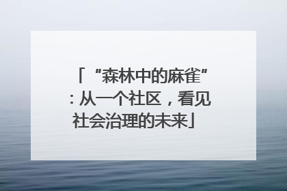 “森林中的麻雀”：从一个社区，看见社会治理的未来