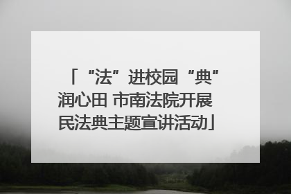 “法”进校园“典”润心田 市南法院开展民法典主题宣讲活动