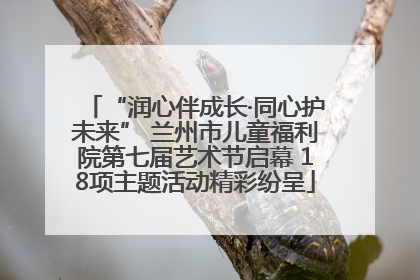“润心伴成长·同心护未来” 兰州市儿童福利院第七届艺术节启幕 18项主题活动精彩纷呈