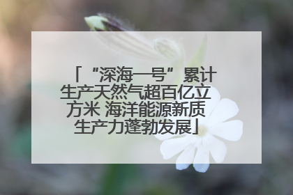 “深海一号”累计生产天然气超百亿立方米 海洋能源新质生产力蓬勃发展