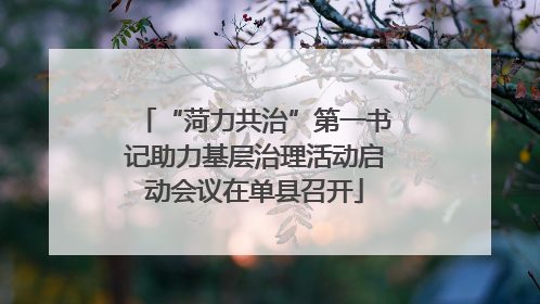 “菏力共治”第一书记助力基层治理活动启动会议在单县召开